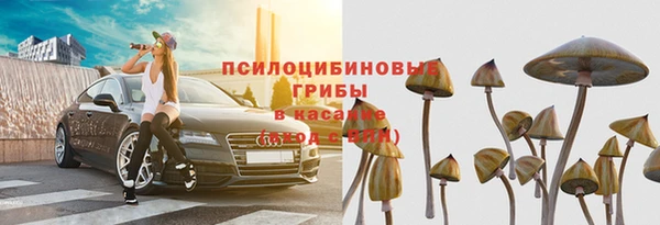спайс Горняк