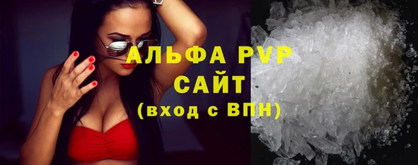 молекула духа Горнозаводск