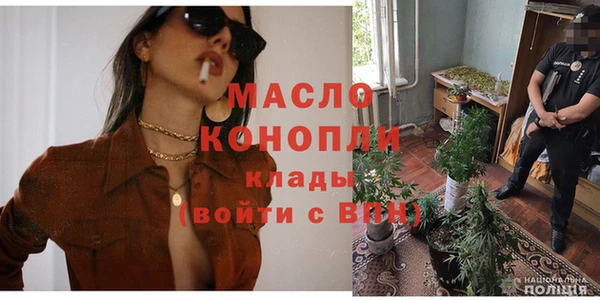 молекула духа Горнозаводск